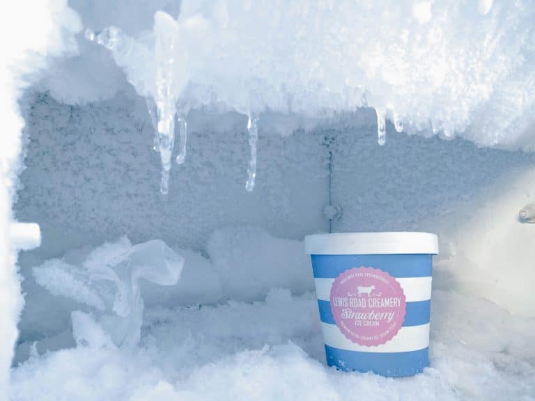 Température idéale pour un congélateur : -18°C pour une conservation optimale des aliments